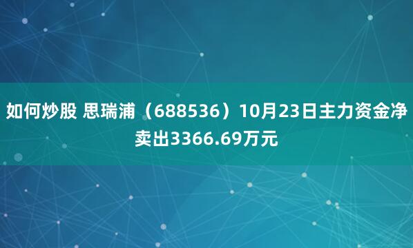如何炒股 思瑞浦（688536）10月23日主力资金净卖出3366.69万元