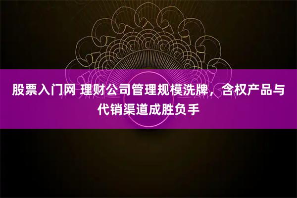 股票入门网 理财公司管理规模洗牌，含权产品与代销渠道成胜负手