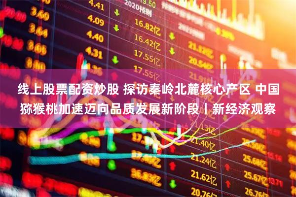 线上股票配资炒股 探访秦岭北麓核心产区 中国猕猴桃加速迈向品质发展新阶段丨新经济观察